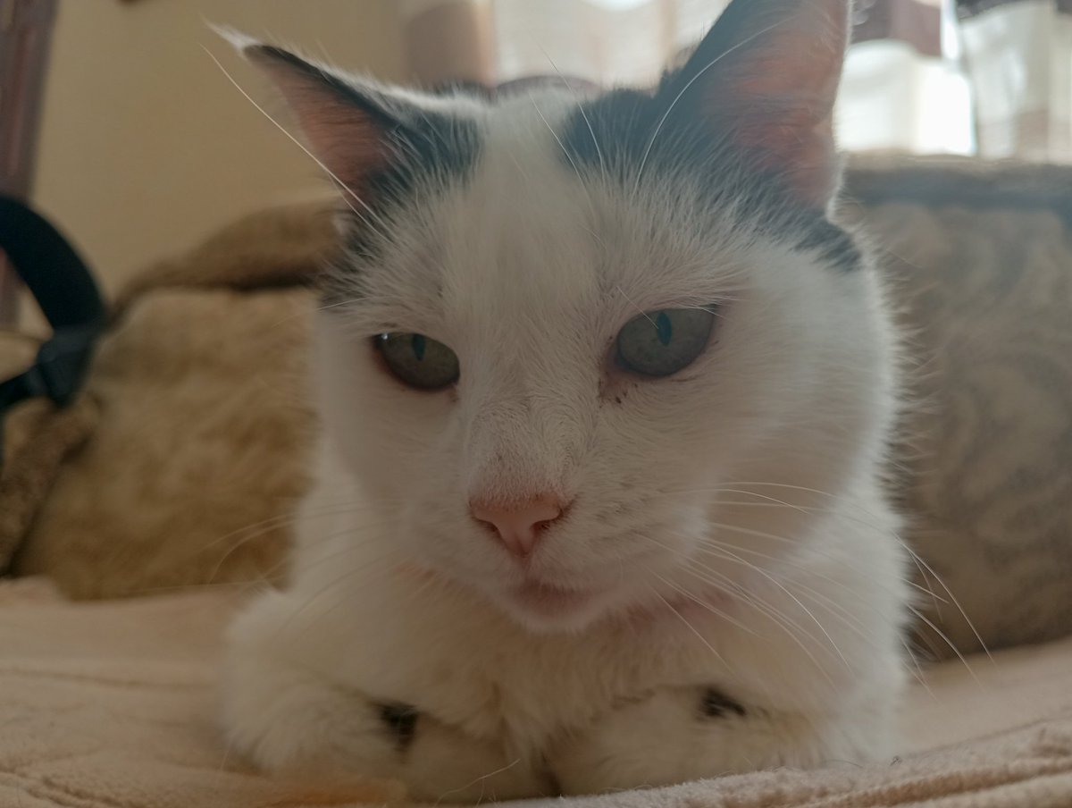 Linkeago tweet media