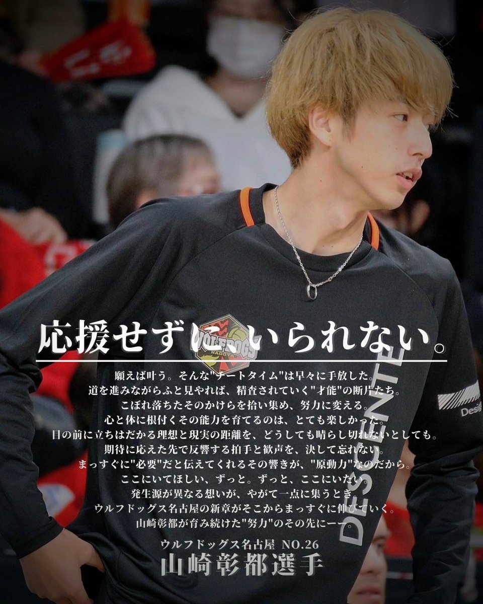 ステイゴールド 