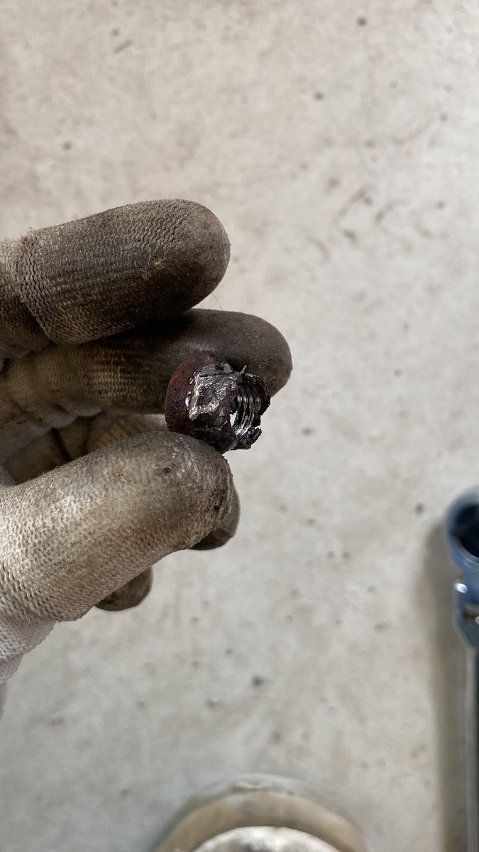 オレヲ🦂 tweet media