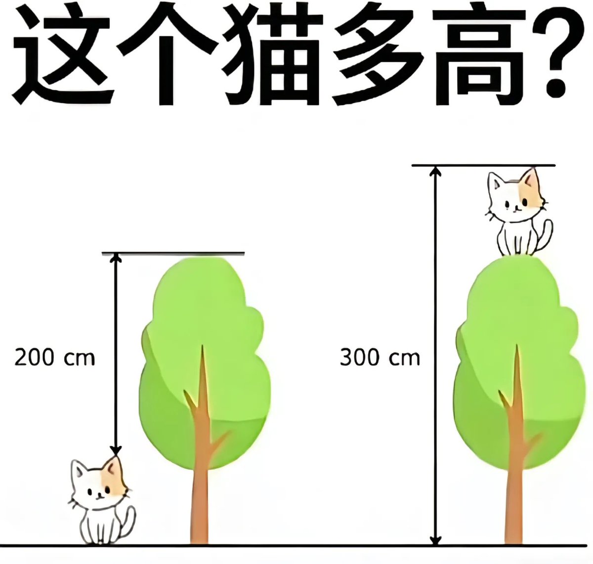 WaFFsdzAiNop's tweet photo. 这猫有多高？ https://t.co/N6upVtAvg6