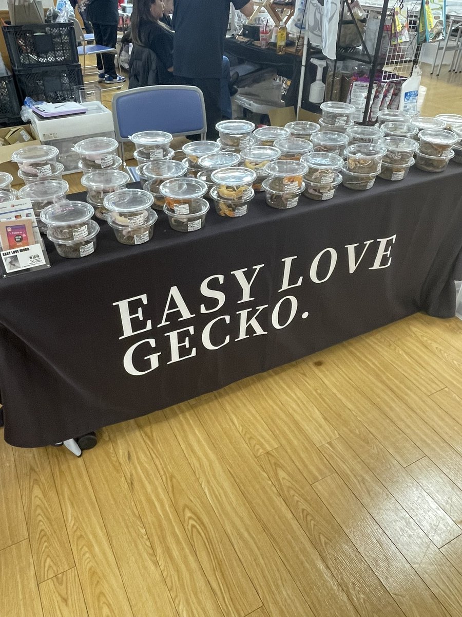 Easy Love Gecko.(y.higashi226) tweet media