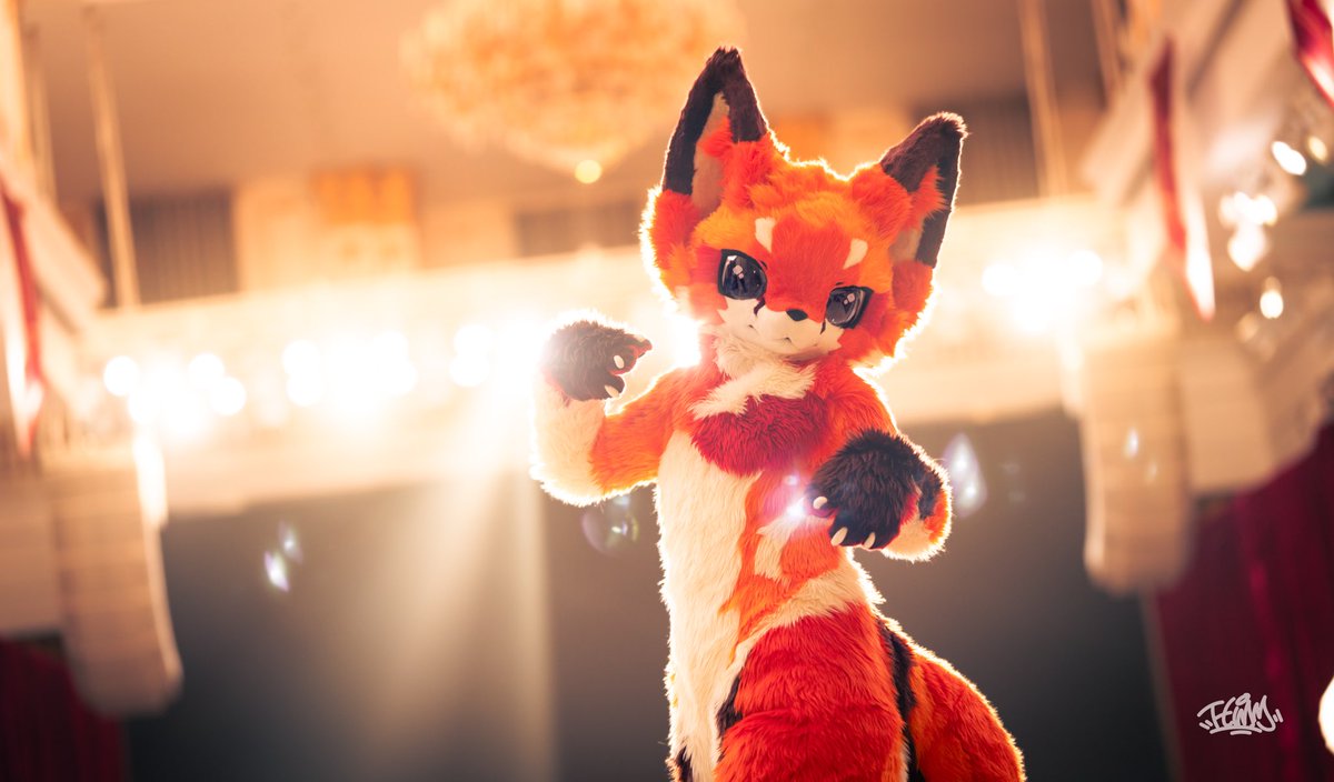 barkeleys77's tweet photo. 🦊&amp;✨

📸：@TTimm00445711 
#furry https://t.co/pFKvGyUqAv