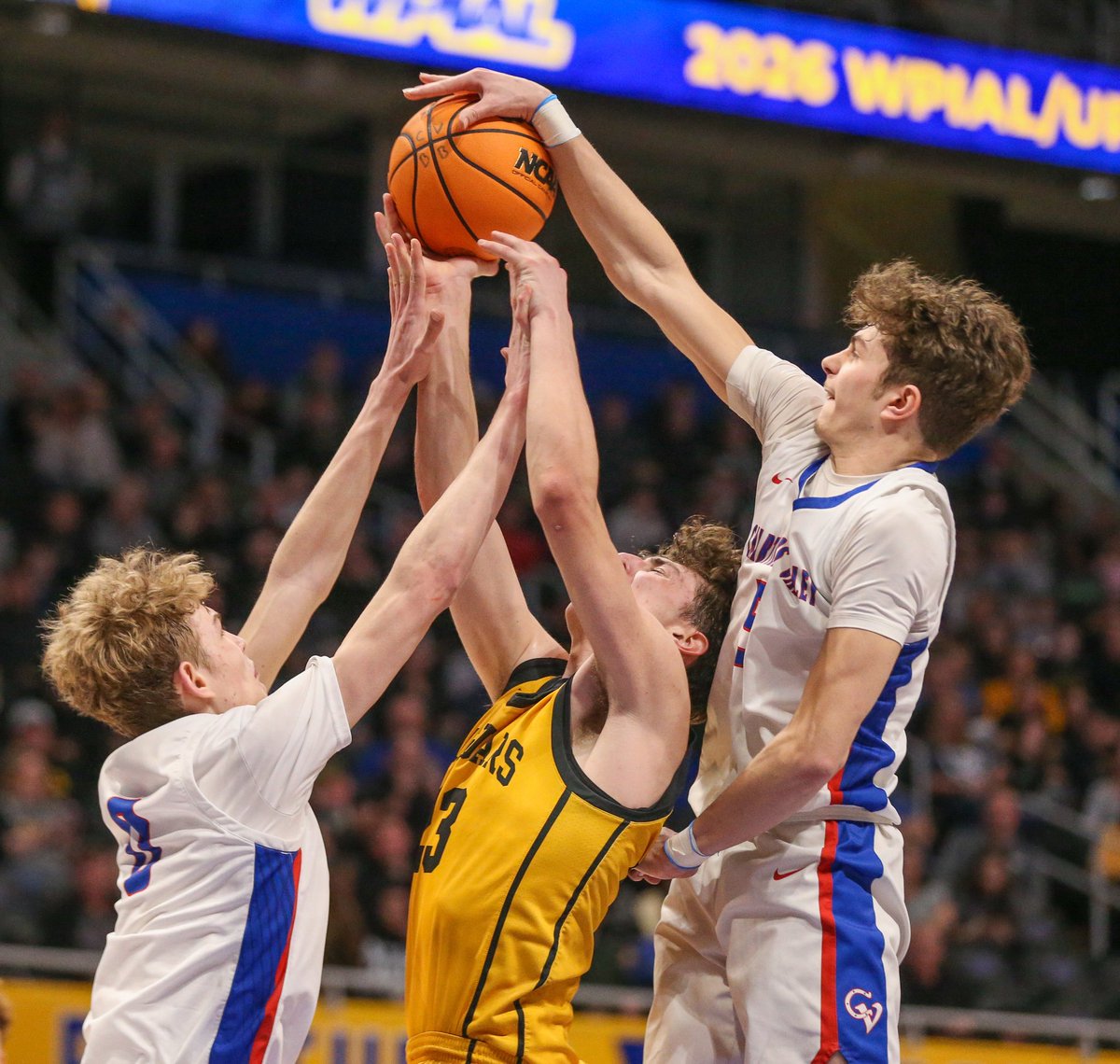 Mike Darnay tweet media