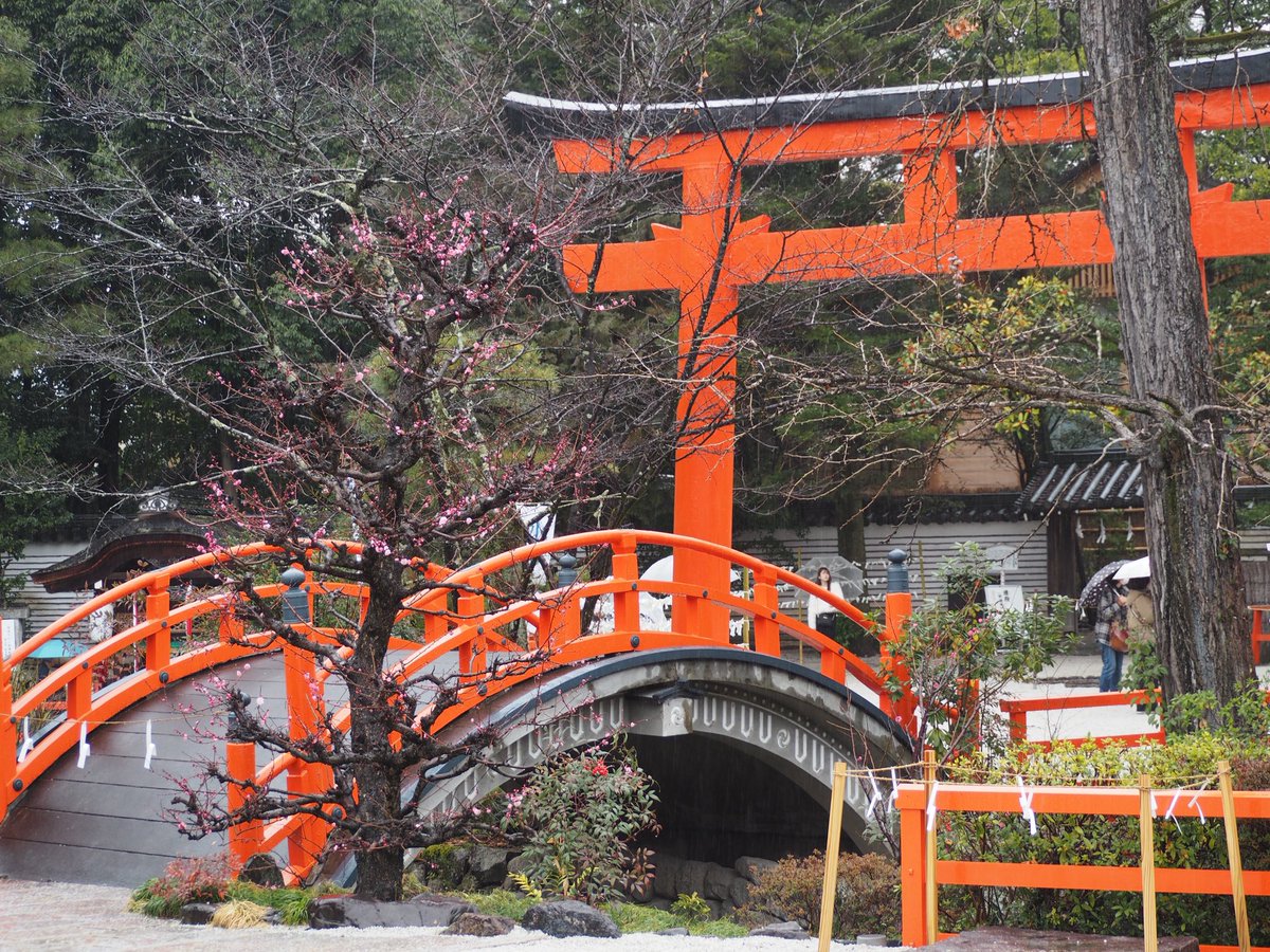 35Locoroco's tweet photo. 三泊四日の新婚旅行♡ https://t.co/BHyfutKScV