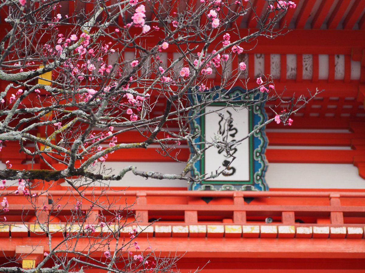35Locoroco's tweet photo. 三泊四日の新婚旅行♡ https://t.co/BHyfutKScV