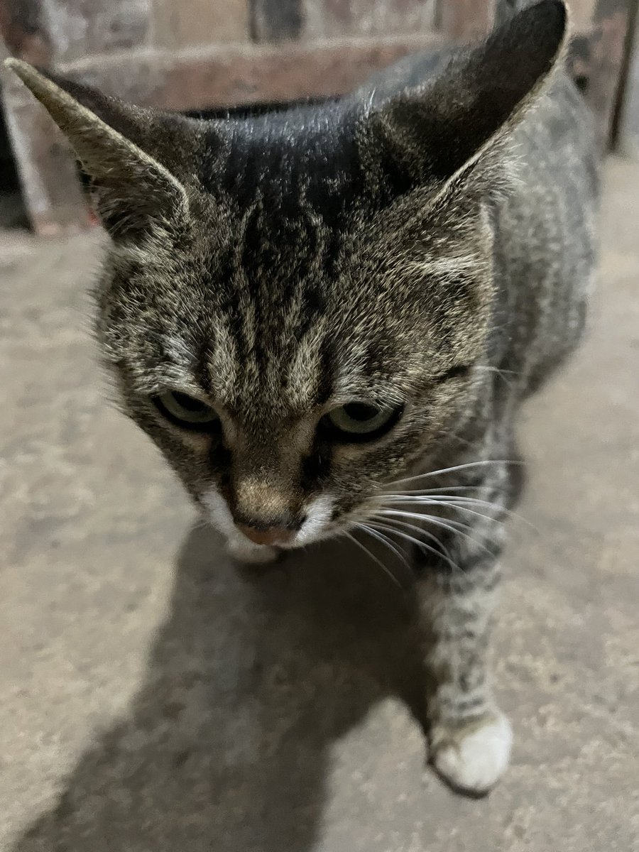 Lance Herry tweet media