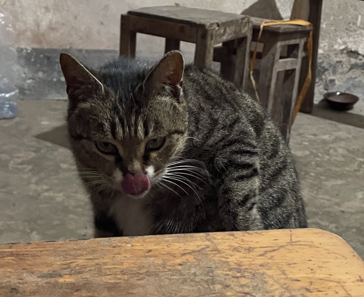 Lance Herry tweet media