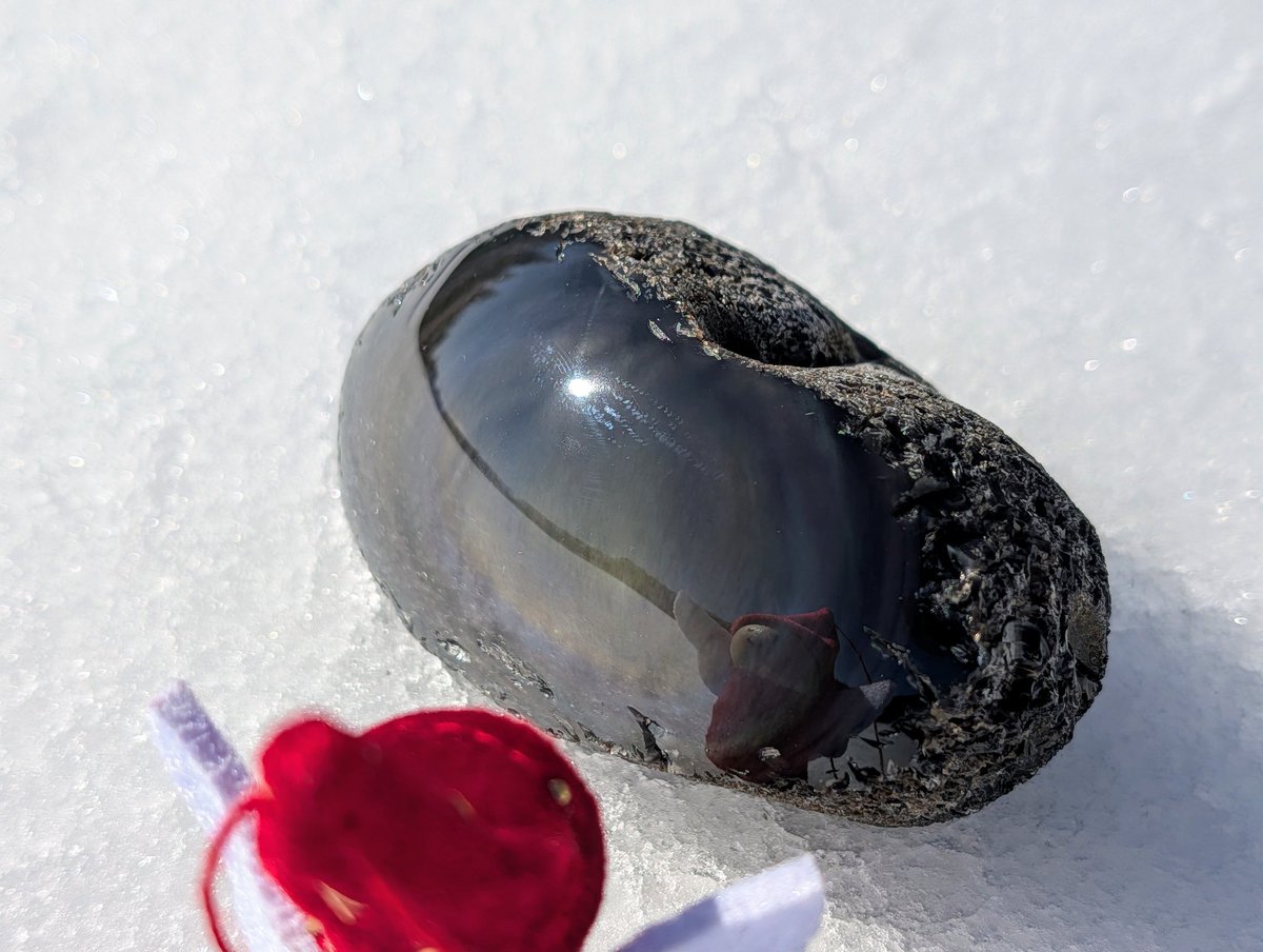 玲瓏石🌌 (@reiro369) / Posts / X