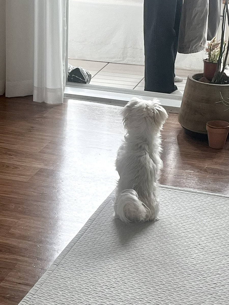 김체리 tweet media