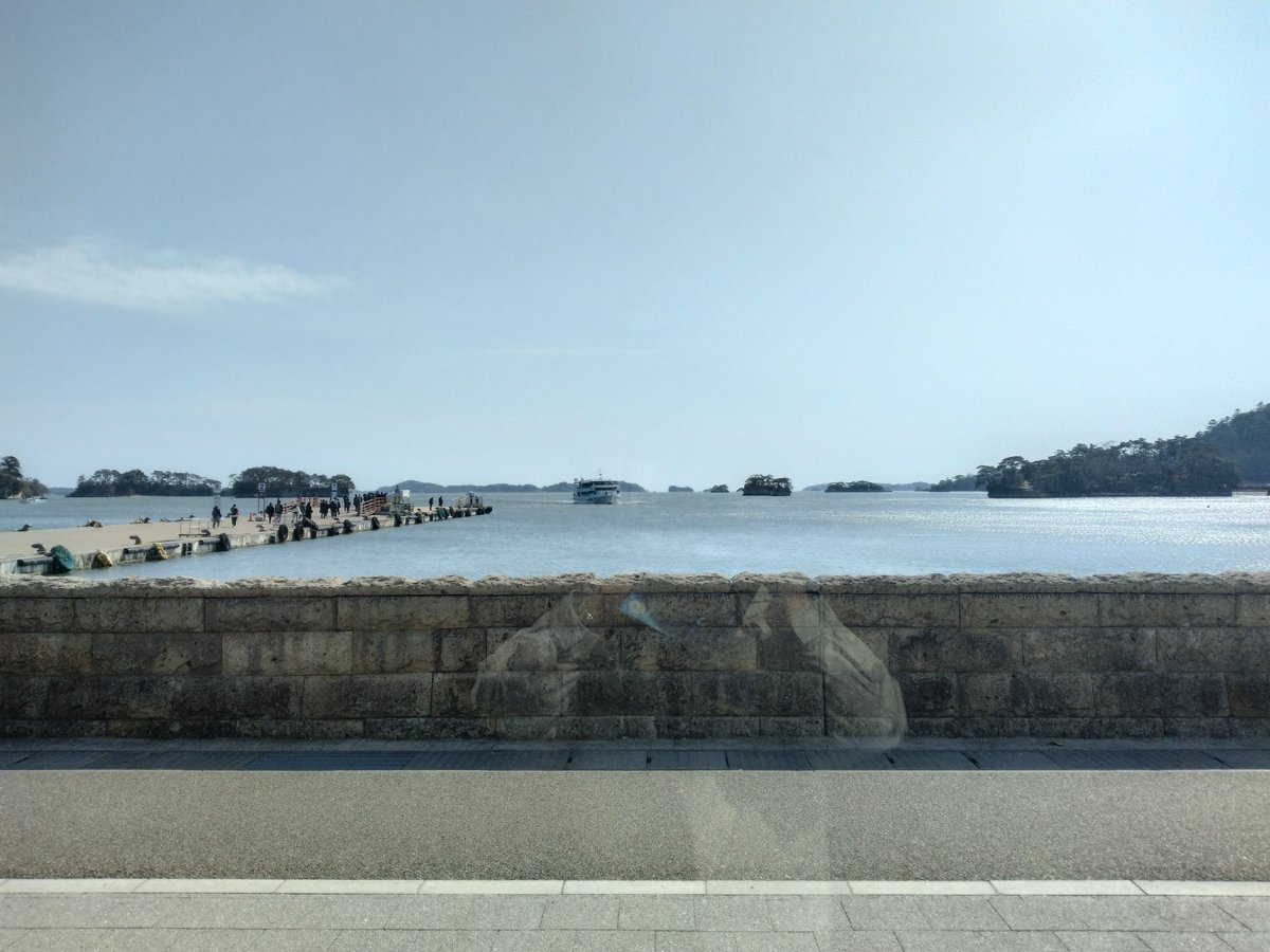 （´ΦωΦ｀）まっつん tweet media