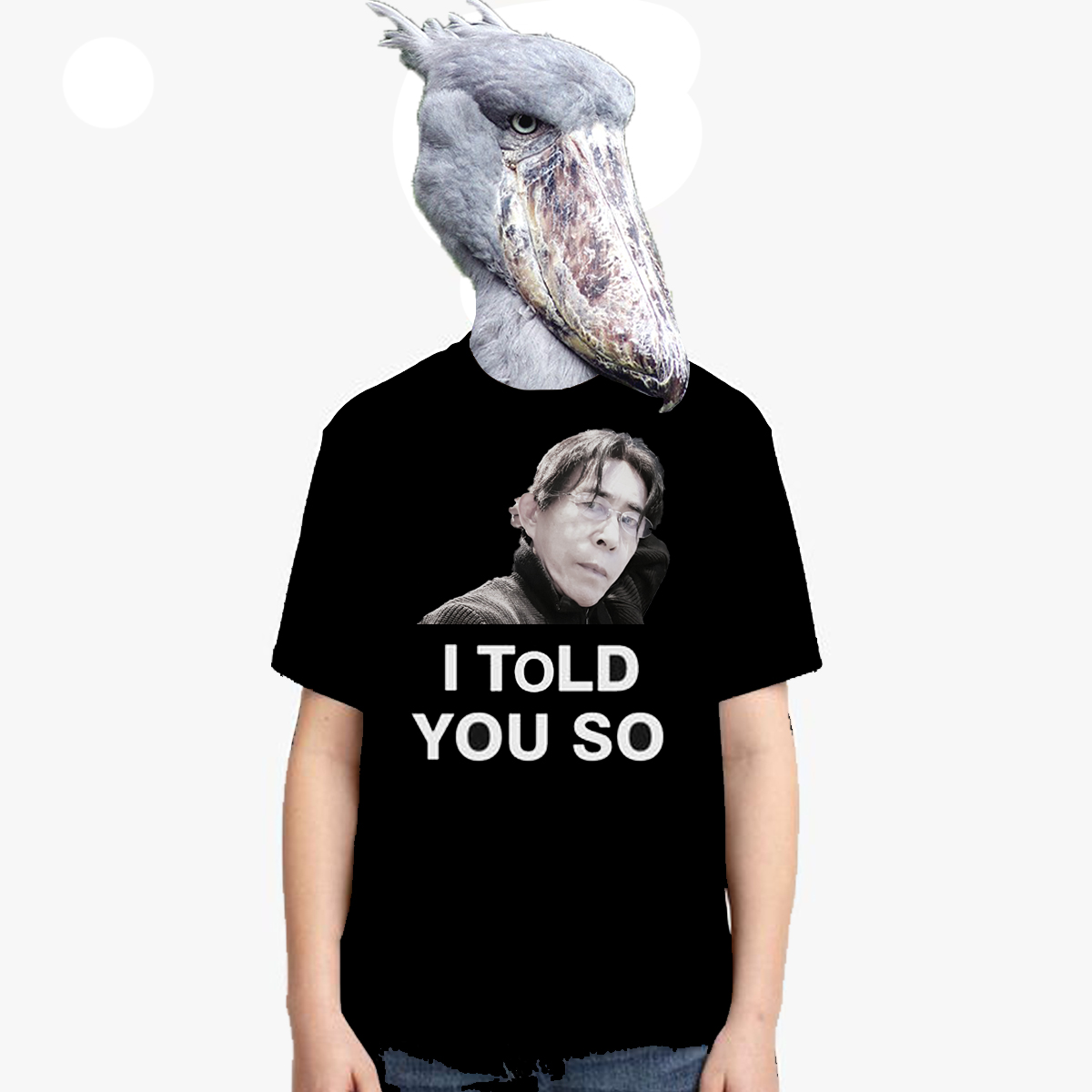 Susumu Hirasawa (@hirasawa) / Posts and Replies / X