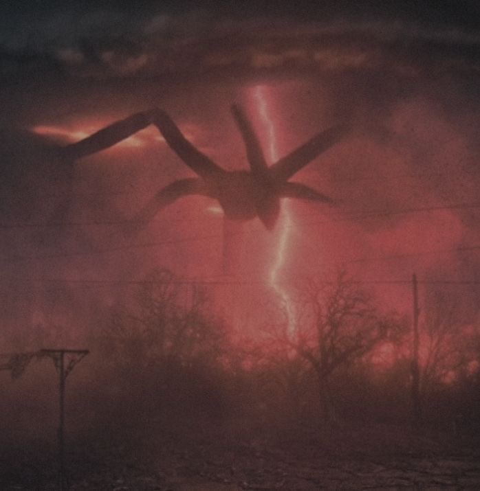 Shaylex Muses tweet media