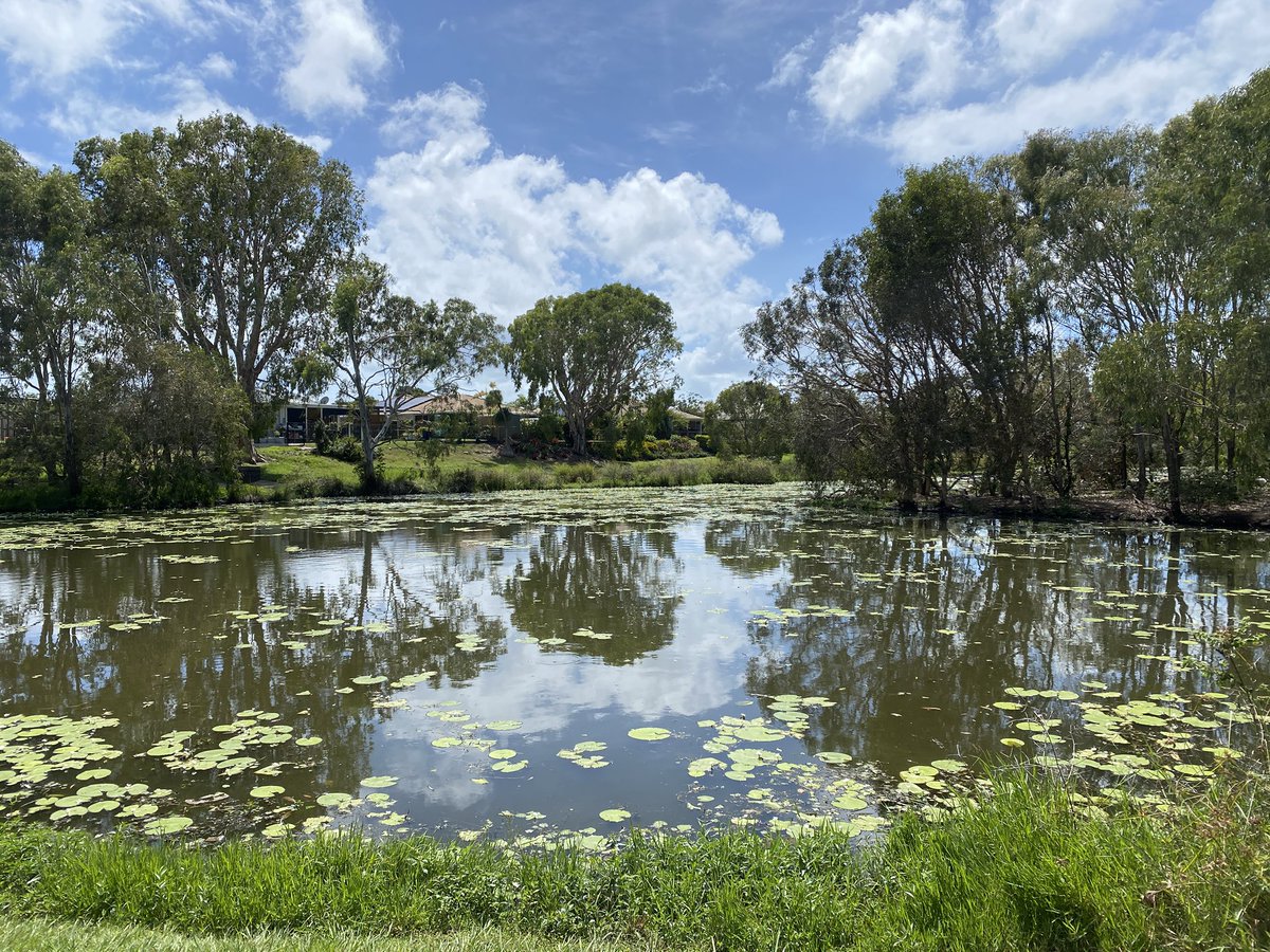 roamingfox | Alma tweet media