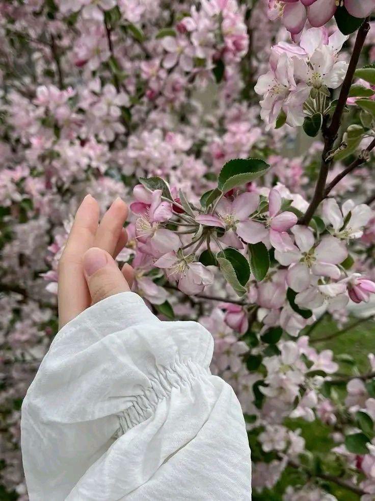 ﴿وألقيتُ عليك محبّةً منّي﴾
اللهم ألقِ علينا من محبتك نوراً في الوجوه،
وليناً في القلوب،
وقبولاً في الأرواح،
وأثراً طيباً يبقى بعد كل لقاء.
ما أجمل أن تكون محبوباً بلطف الله لا بتكلّف البشر. 🤍