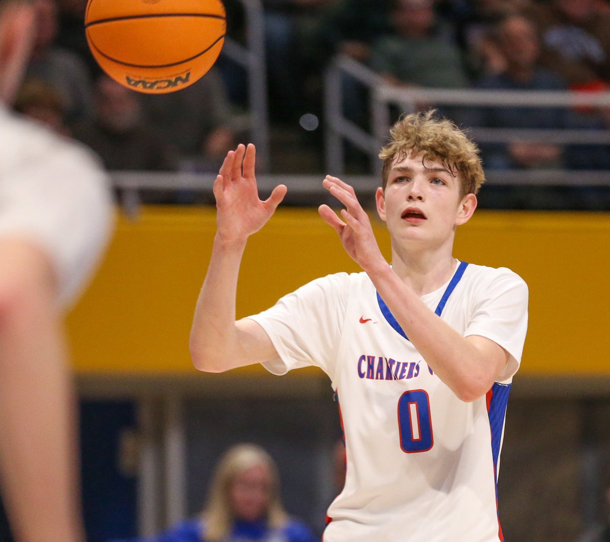 Mike Darnay tweet media