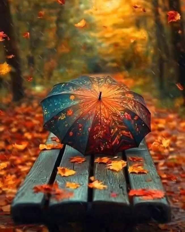 سر في حياتك وأنت تسعد قلوب العابرين ....

أسعد الجميع ما دام لك نبض  ما دُمت تتنفس الهواء.🍁