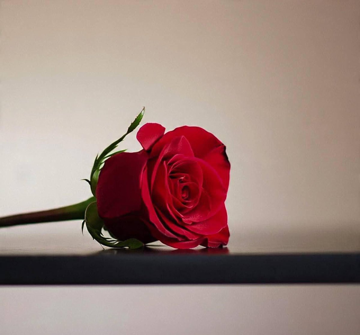 ما تدمره الأفعال ، لن يصلحه الكلام ."🥀🥀