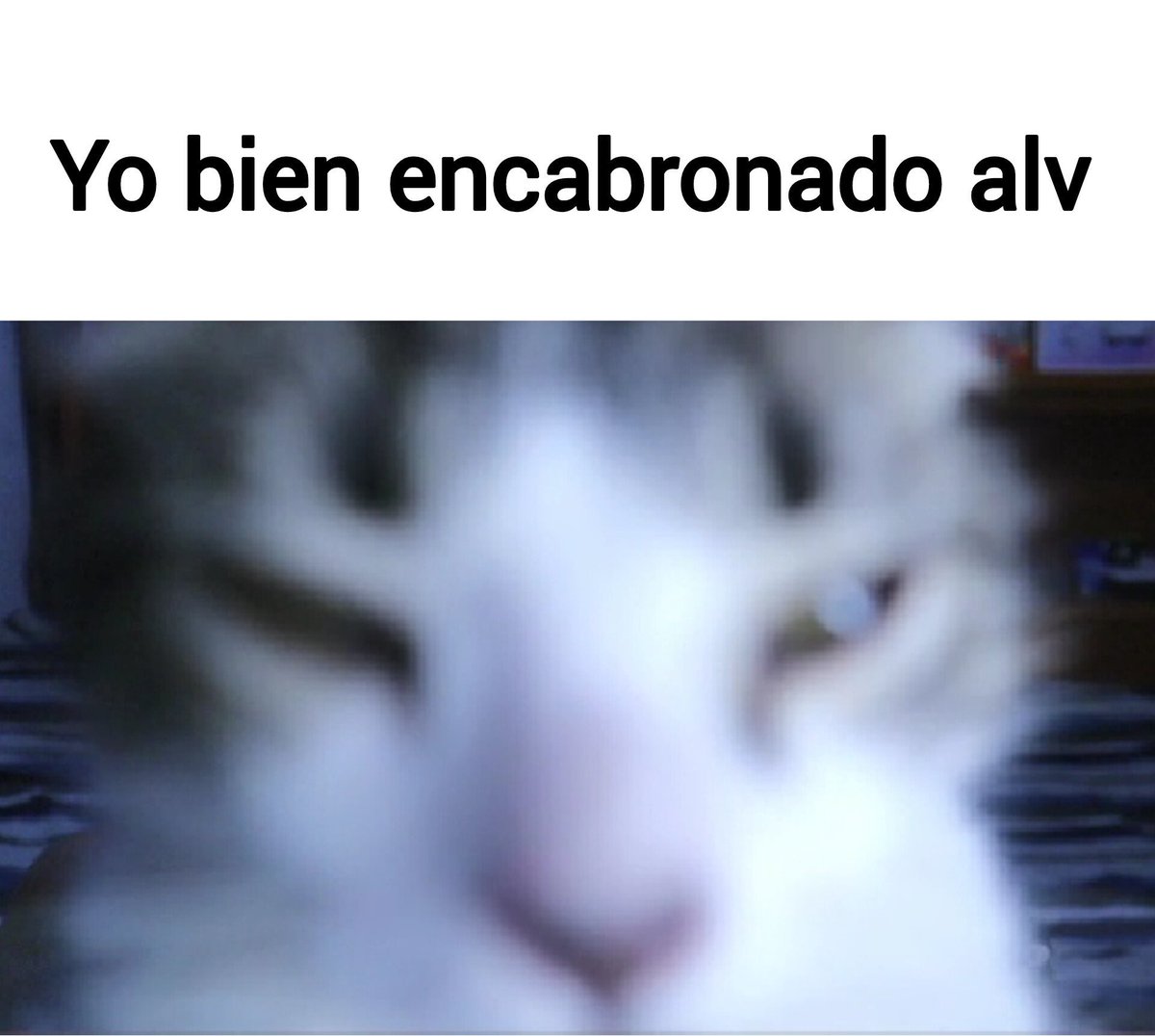 Mr Pixel Productions tweet media