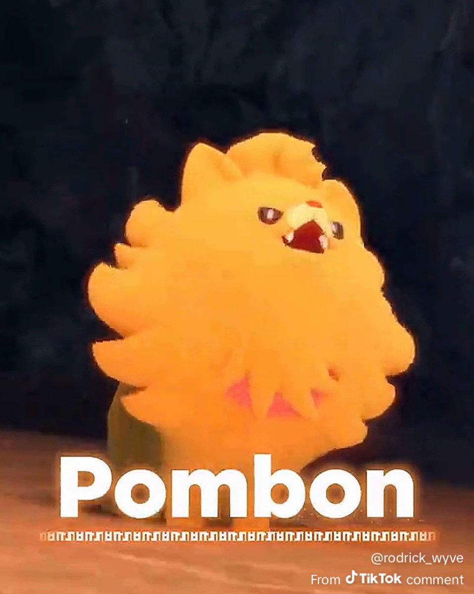 PunkSeraphina ⚙️The steam punk raccoon ⚙️ tweet media