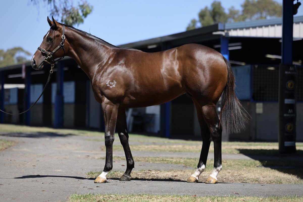 ANZ News tweet media