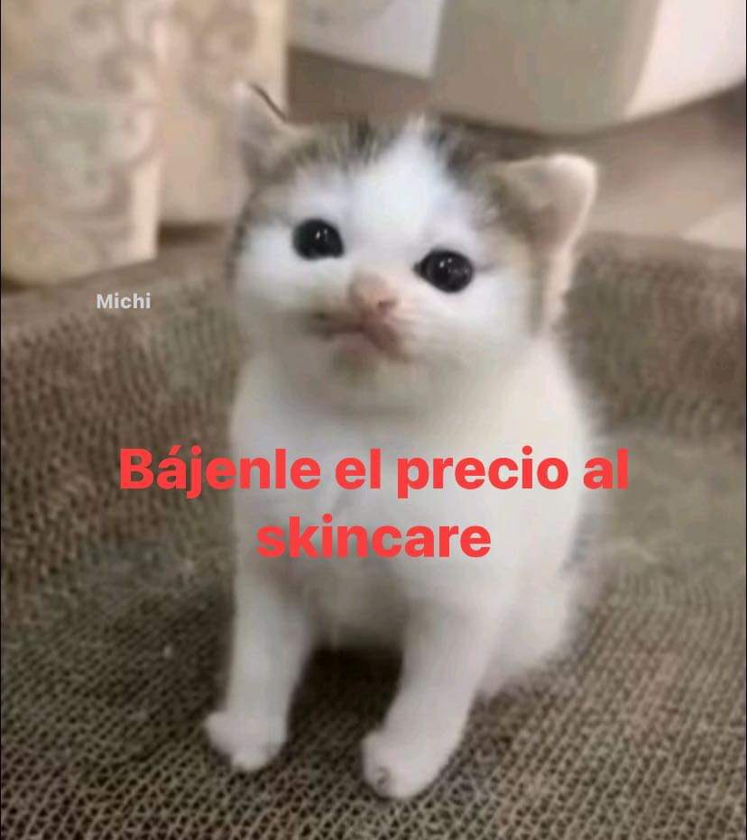 MundoDeBigotes's tweet photo. https://t.co/WpSjJf7dXn