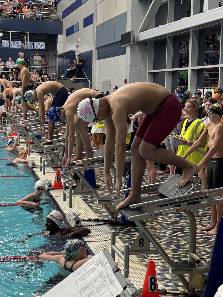 David Orr tweet media