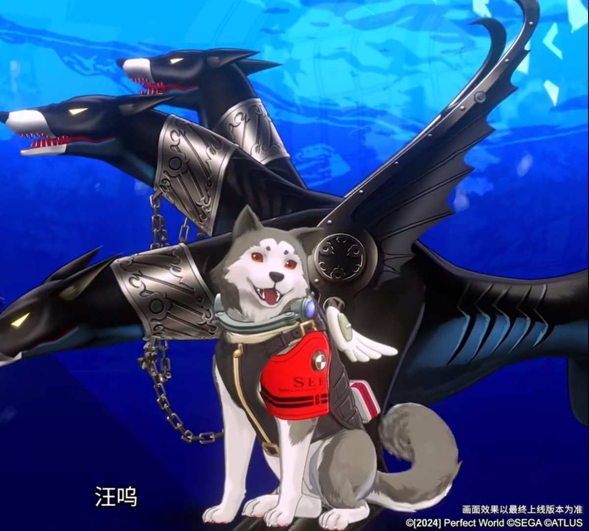大陸版P5X情報】 3/5に大陸版に実装！ コロマルのゲーム内PVが公開され