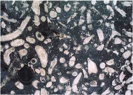 ArchPoints tweet media