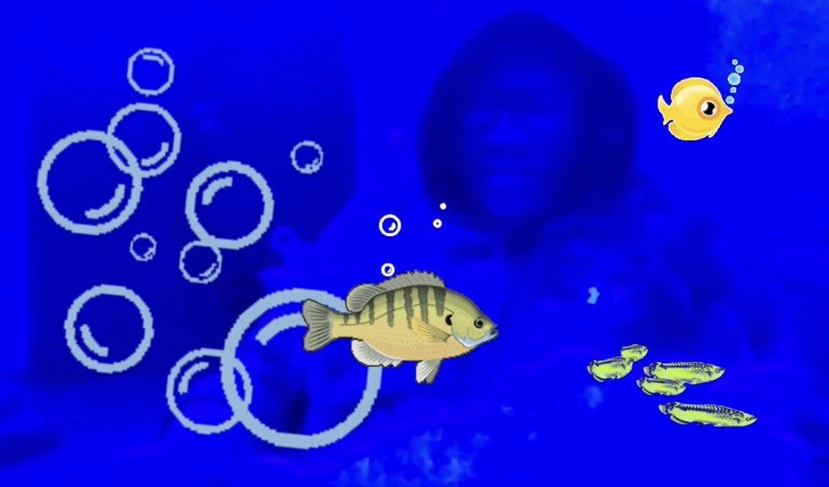 Done Updates tweet media