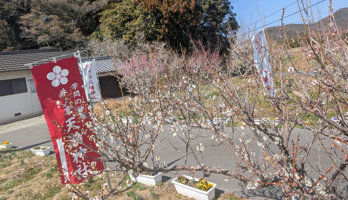 地元の神社の春の大祭神事
終了いたしました。🙄