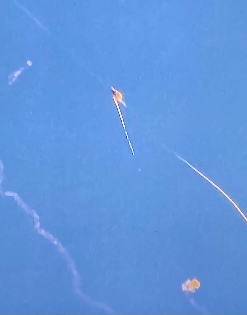 MEpperson1031's tweet photo. @POTUS  @PeteHegseth … Is it me or does this missile look like an AMERICAN FLAG 🇺🇸?! 
I’d say a Great sign from above 🙌🏻 !!! 
Thank you for all you do… Protect our troops… and God Bless the USA 🇺🇸 ❤️🤍💙!!! https://t.co/oRkO82ILiW