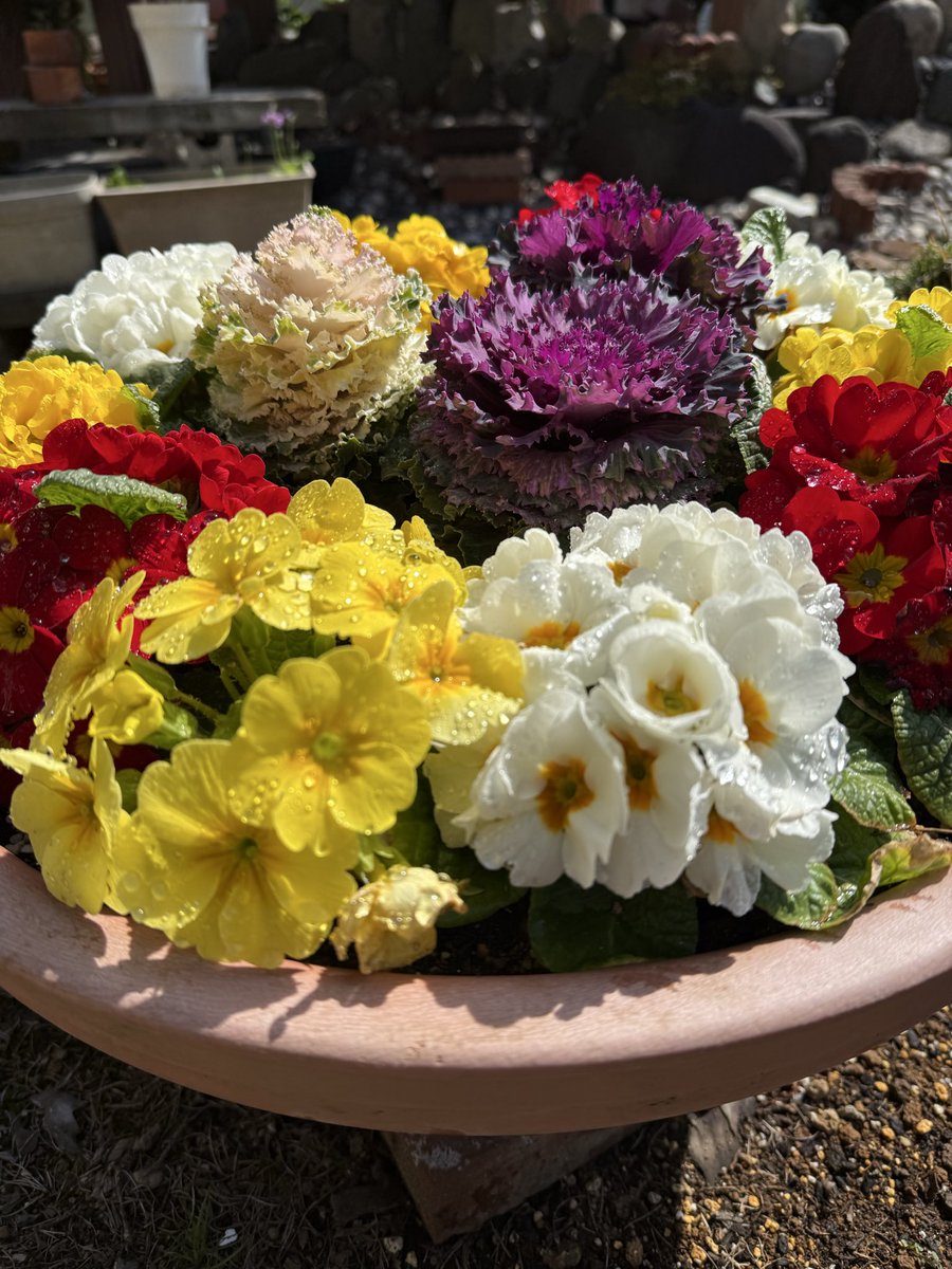 早くも3月になってしまいました… つ、釣りに行きたい🎣ｳｳ… #TLを花で