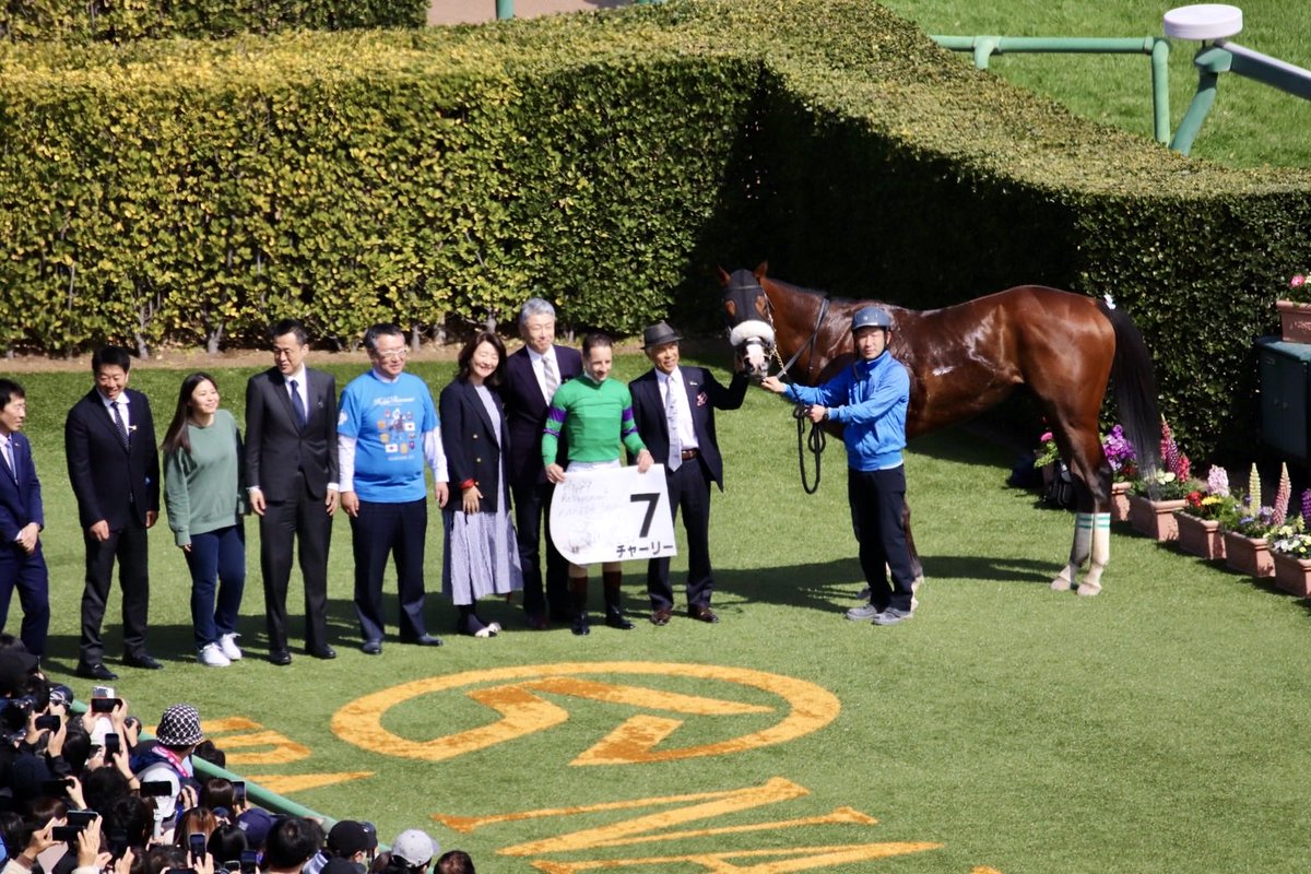 umakeiba_com's tweet photo. 中山4Rを勝ったのはチャーリー。国枝厩舎×ルメール騎手というお馴染みのコンビで、後続を10馬身ぶっちぎる強い勝ち方でした。ルメール騎手、今日で引退の国枝師に華を添えましたね。おめでとうございました㊗️
#チャーリー
#国枝栄 厩舎
#ルメール 騎手 https://t.co/Tli6HmaJ1t