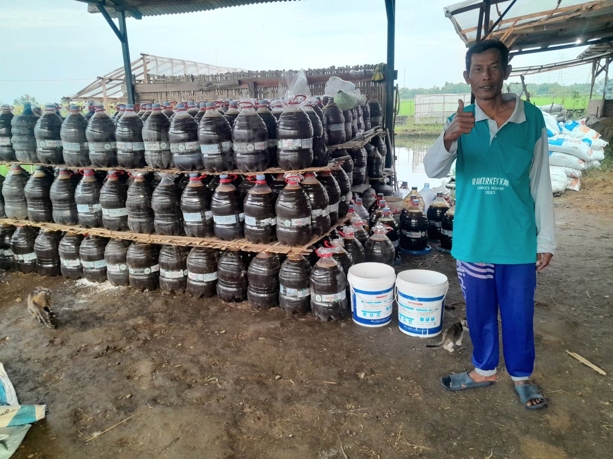 Petani di Ngawi mulai beralih menggunakan pupuk organik sebagai solusi mandiri untuk mengatasi ketergantungan pada pupuk kimia yang mahal sekaligus memperbaiki kualitas ekosistem tanah yang kian merosot. 

mongabay.co.id/2026/02/28/upa…