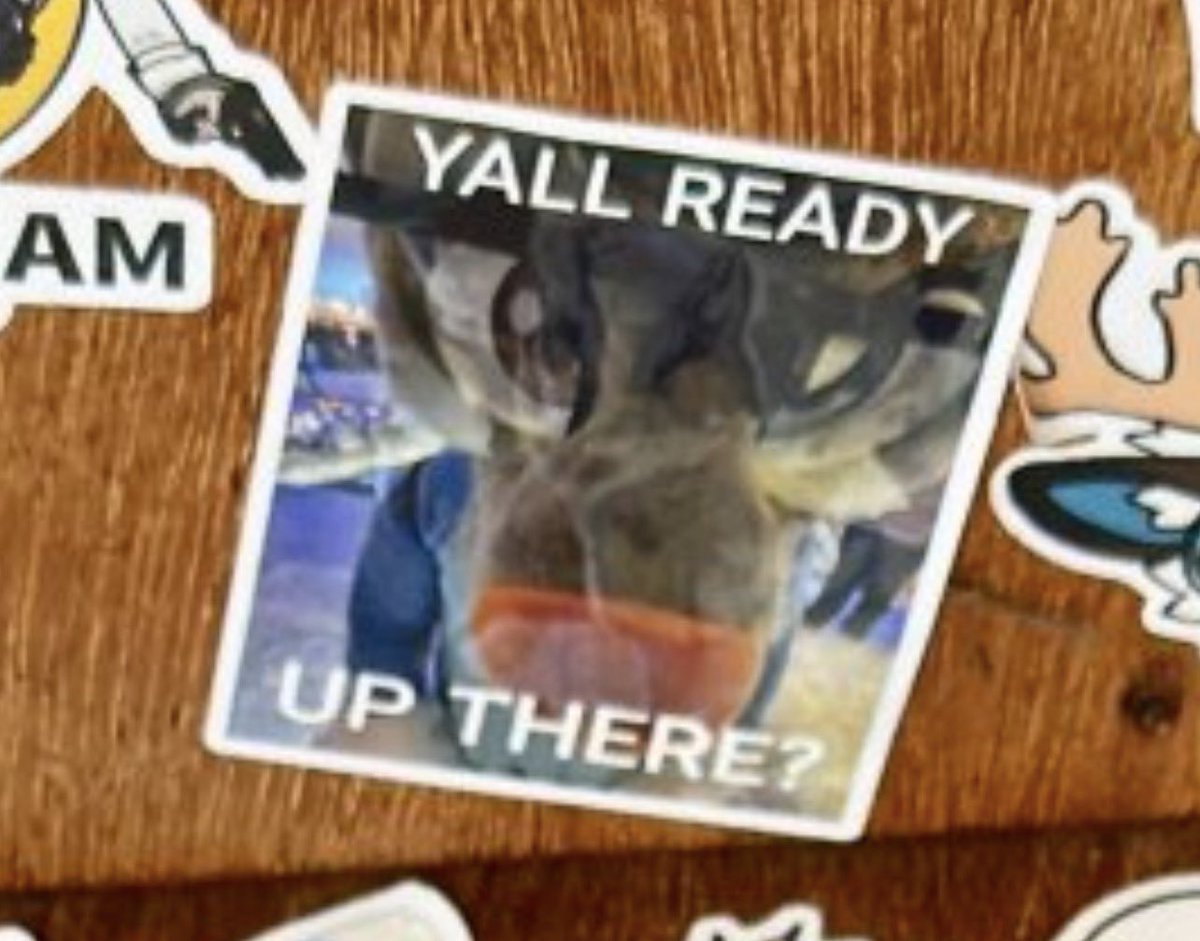 Gray 🔜 TFF tweet media