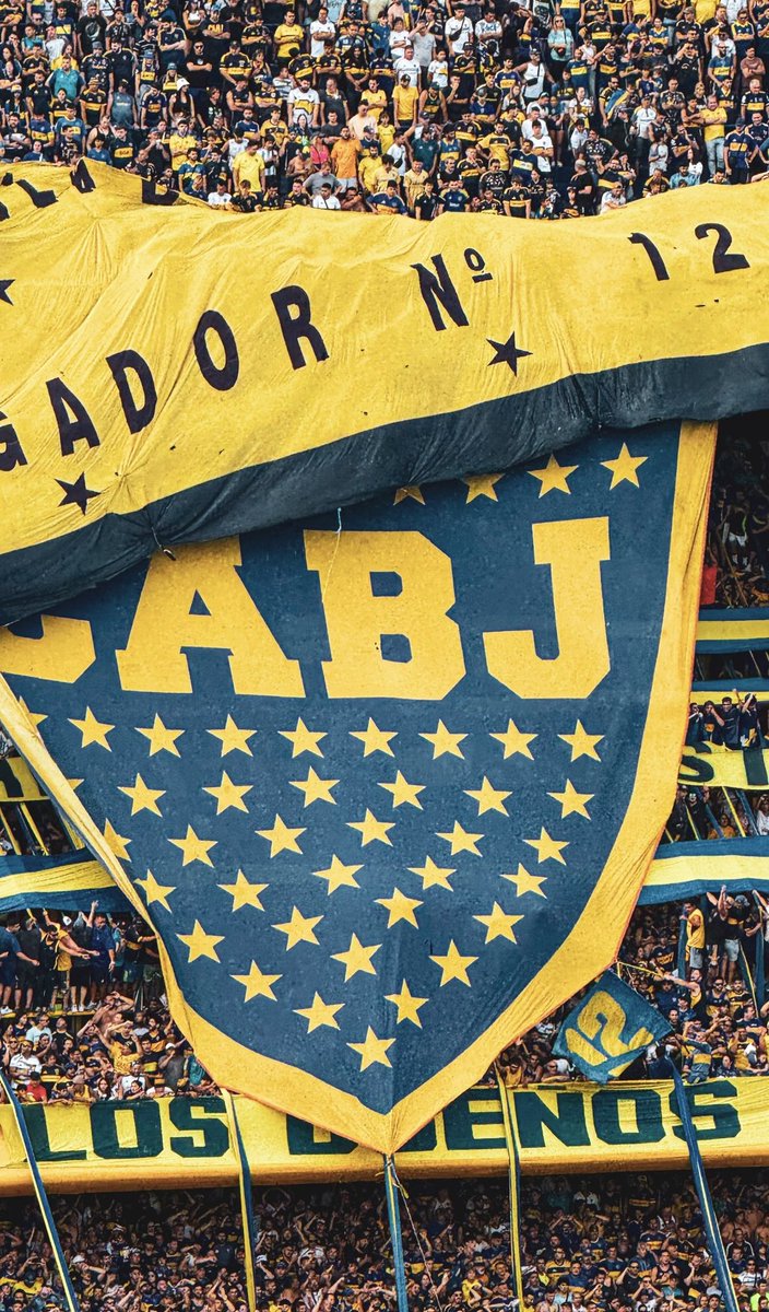 Miren ese escudo. Yo no puedo creer que no dejen la vida para quedar en la historia de semejante club.