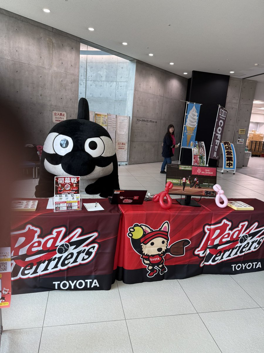 【公式】トヨタレッドテリアーズ🐶🥎 tweet media