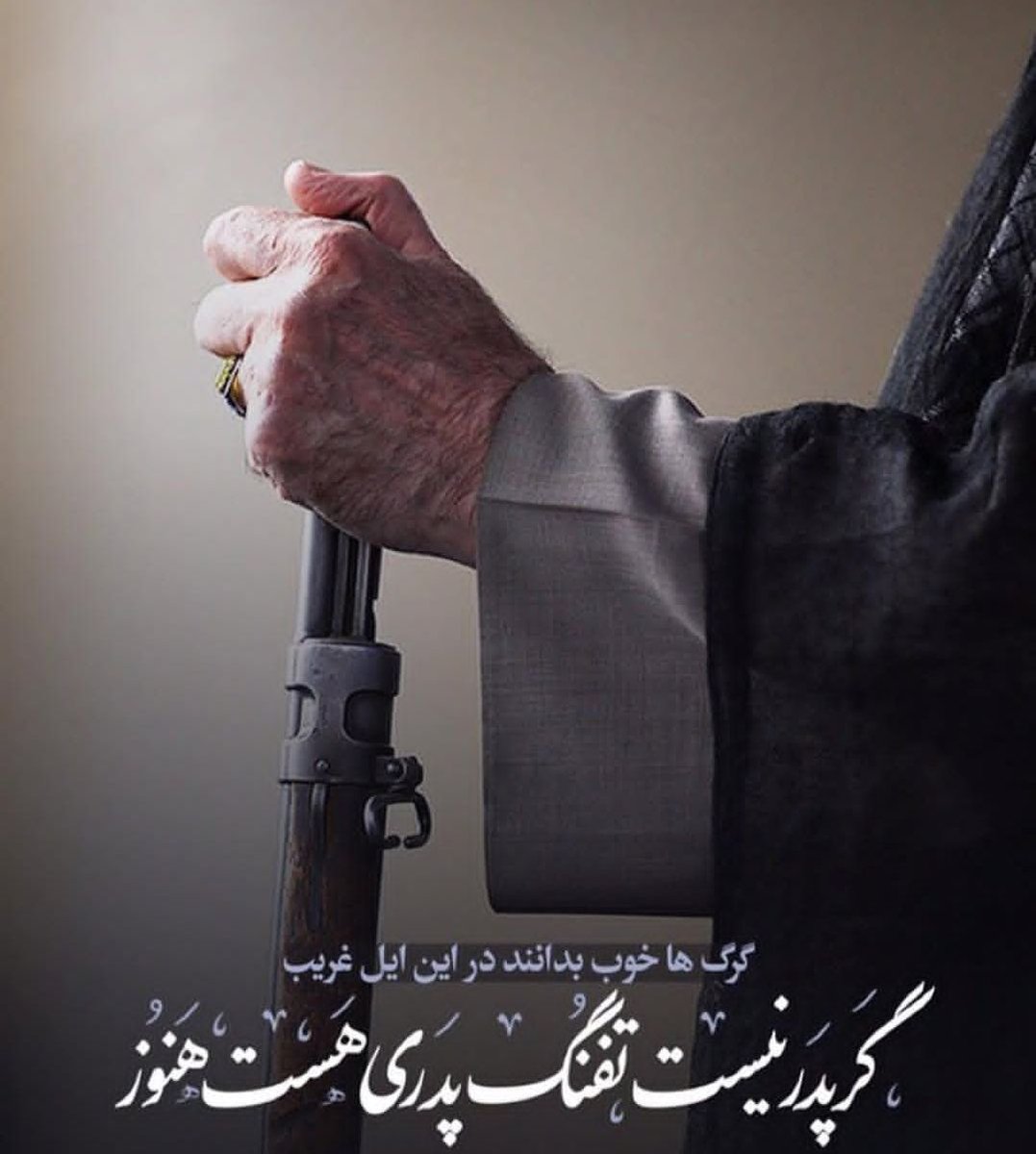 خانم نظم الدینی🎒 tweet media