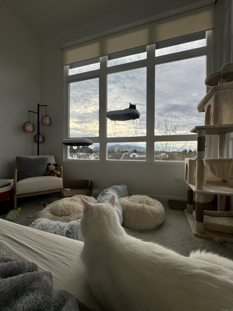 Mongee Sr. tweet media