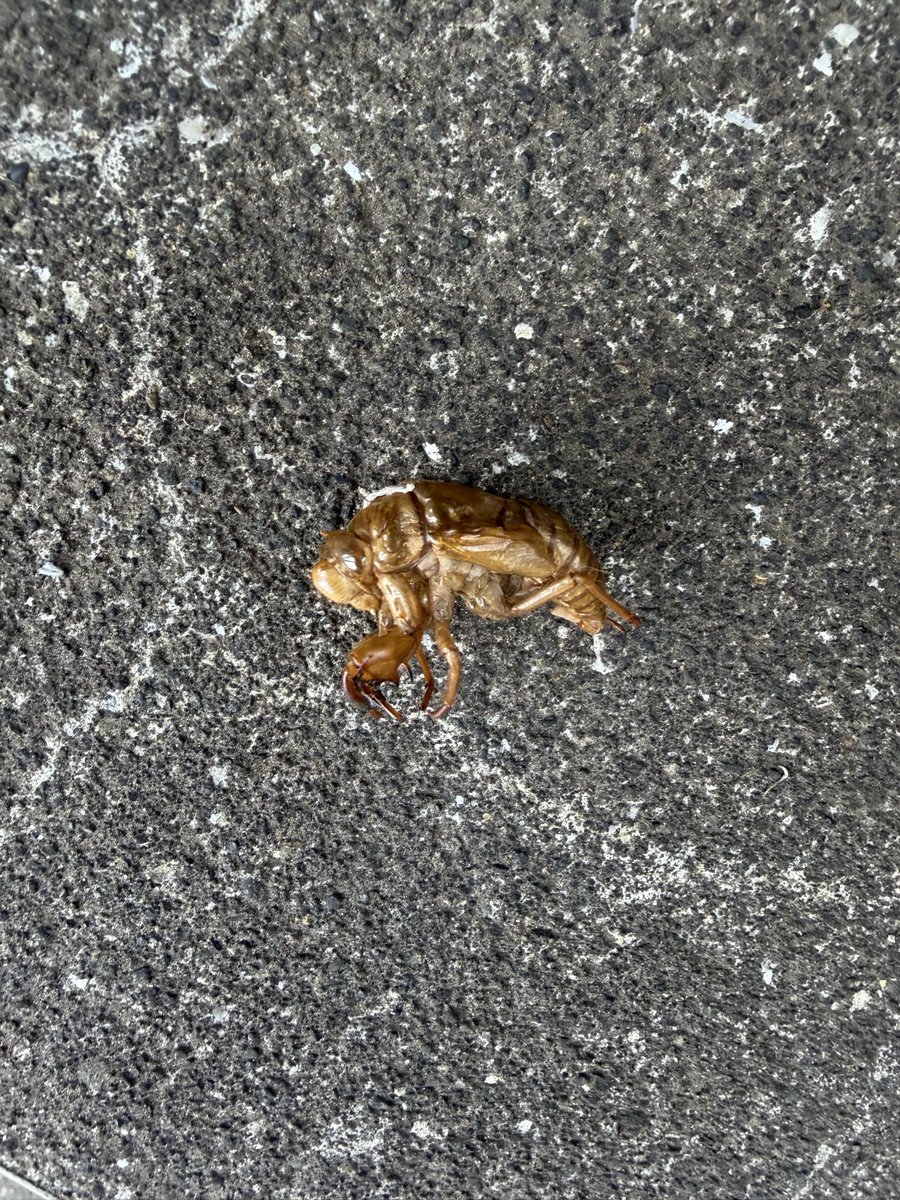 Aken(Phase4) tweet media