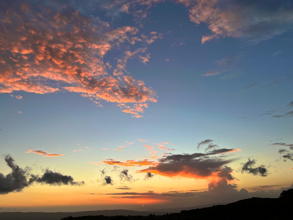 Sometime Jamaica just show off fi real.