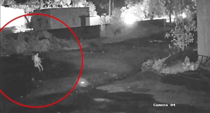 तेलंगाना, पेद्दापल्ली📍

एक चावल मिल के पास लगे CCTV कैमरे में दिखा कि एक आदमी अपने कंधे पर सोती हुई बच्ची को उठाए हुए जा रहा था। उस समय आसपास अंधेरा था और चावल मिल के परिसर में कामगार और मजदूर कैम्प में सो रहे थे।

उनमें से एक महिला आधी रात को उठी और देखा कि उसकी 6 साल की बेटी