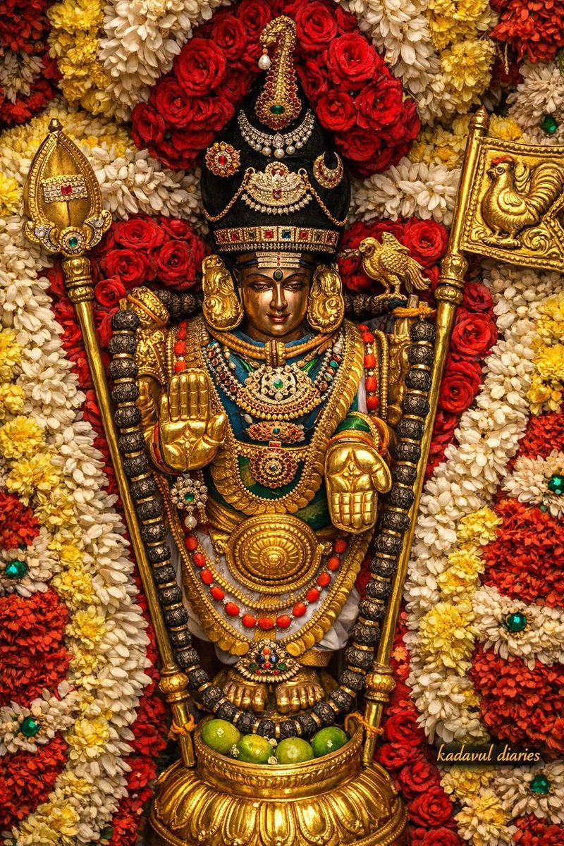 AvaniDhaara's tweet image. Blessings of Lord Muruga – Vel of Victory, Grace of Compassion 🕉️✨

#LordMuruga #Murugan #Kartikeya #Skanda #VelMurugan  #OmSaravanaBhava
