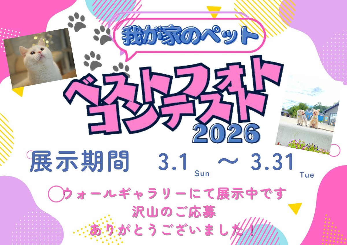 e_koeido's tweet photo. 本日から『我が家のペット ベストフォトコンテスト』の展示がスタートしてます🐾
３条館１階ウォールギャラリーにて３月３１日までの展示です！
入賞者発表は３月１５日を予定しております✨
#サッポロファクトリー https://t.co/KC59QwpyG2