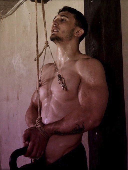 atuspies tweet media