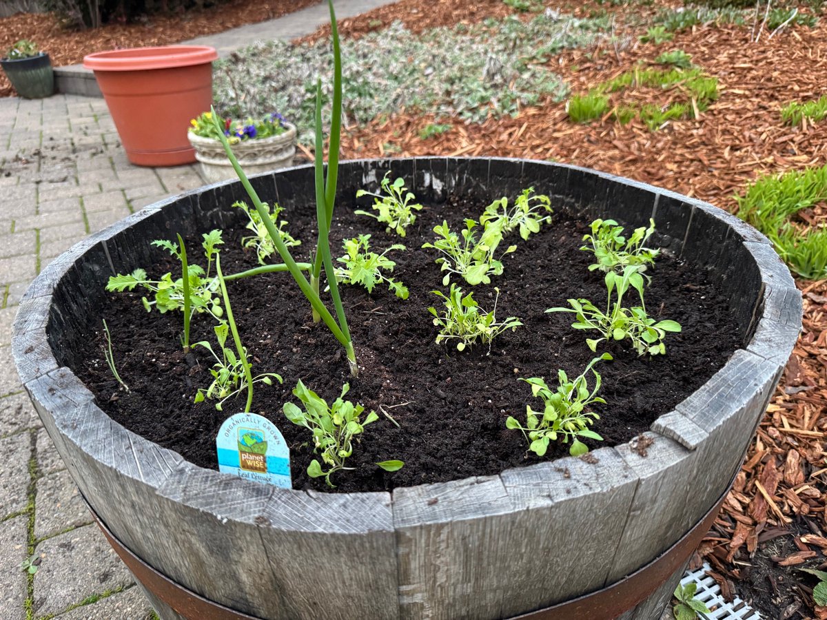 Michael Haley - UOregon Chemistry tweet media