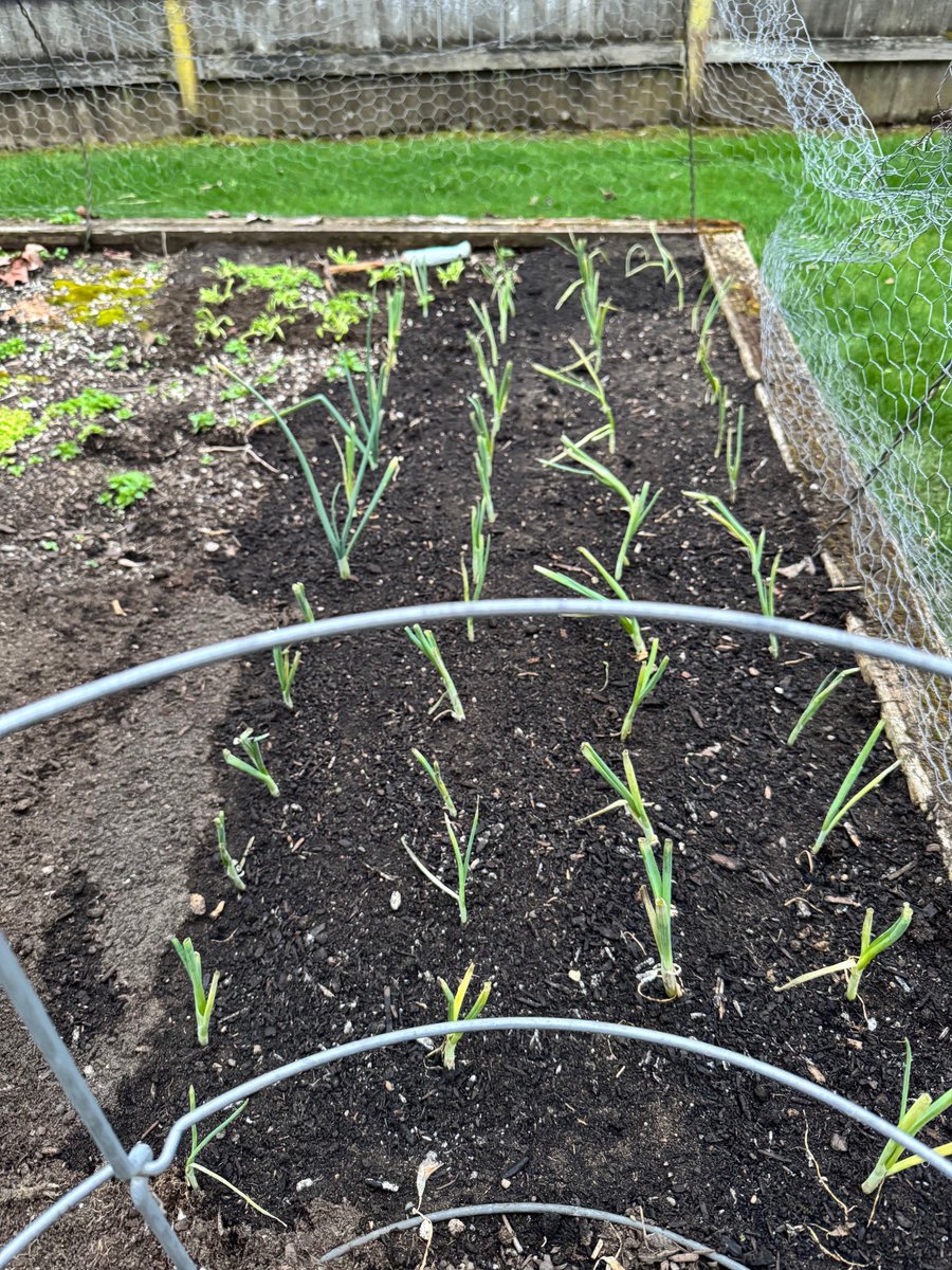 Michael Haley - UOregon Chemistry tweet media