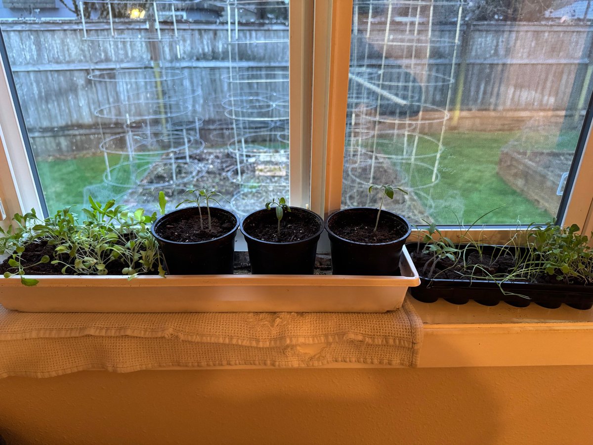 Michael Haley - UOregon Chemistry tweet media