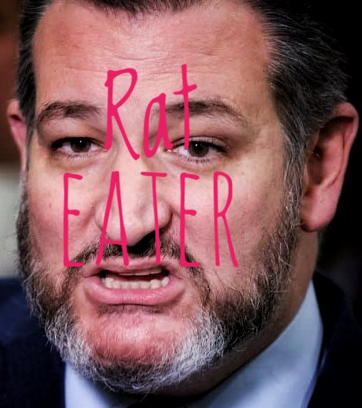 dsmith7145's tweet photo. @tedcruz https://t.co/obLeGNq1ee