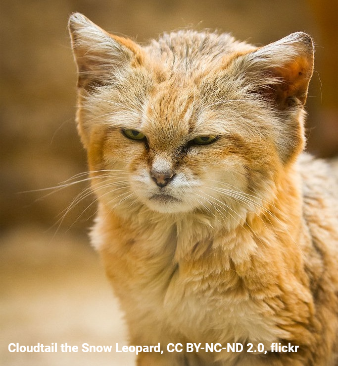 American Museum of Natural History tweet media